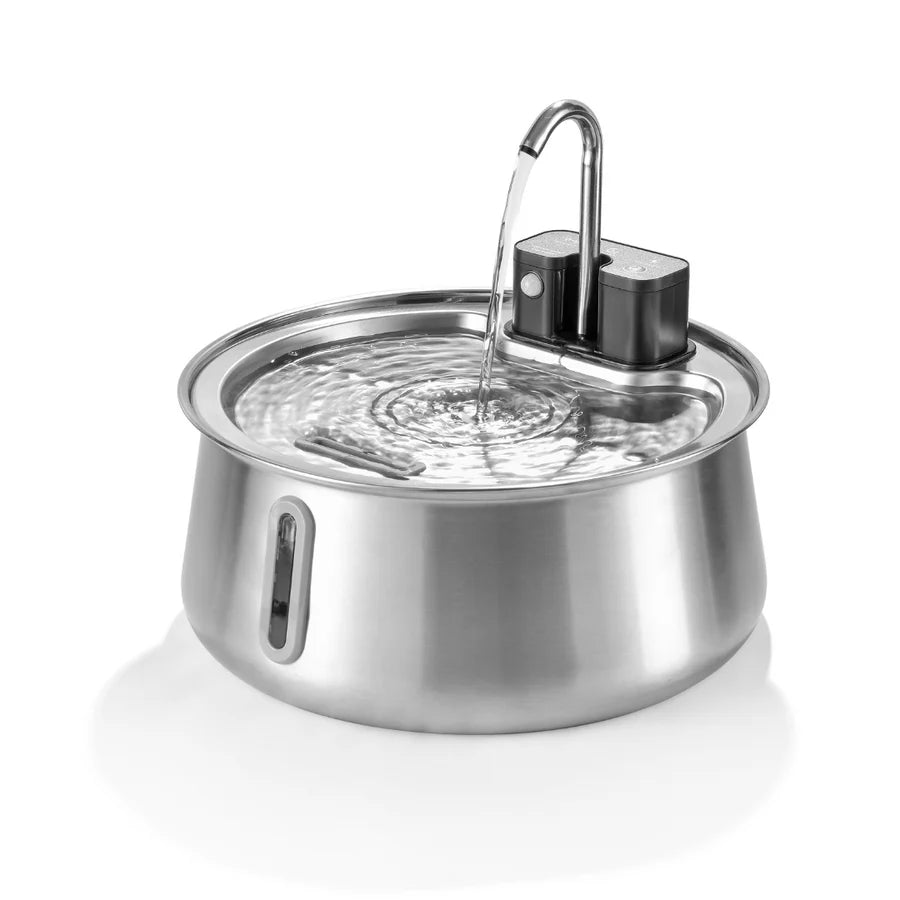 Die Pfotenquelle™ 4L Wireless 2.0