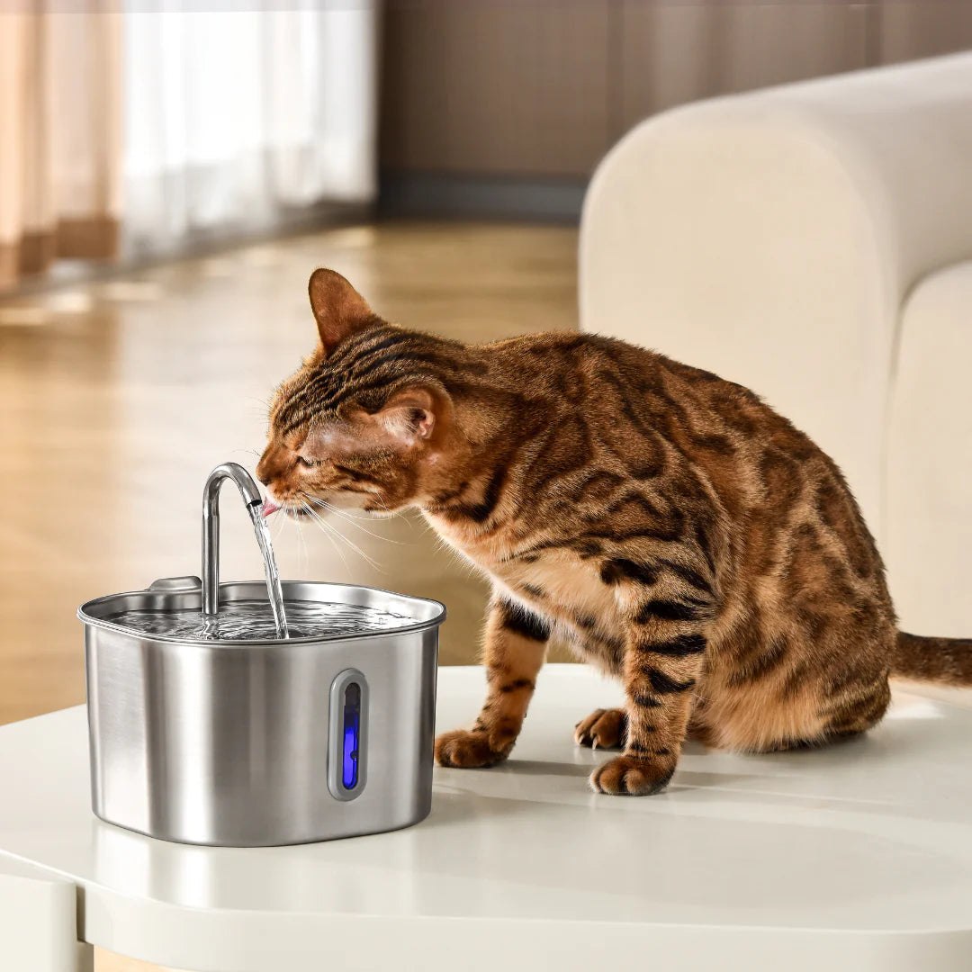 Die Pfotenquelle™ Compact 2,2L