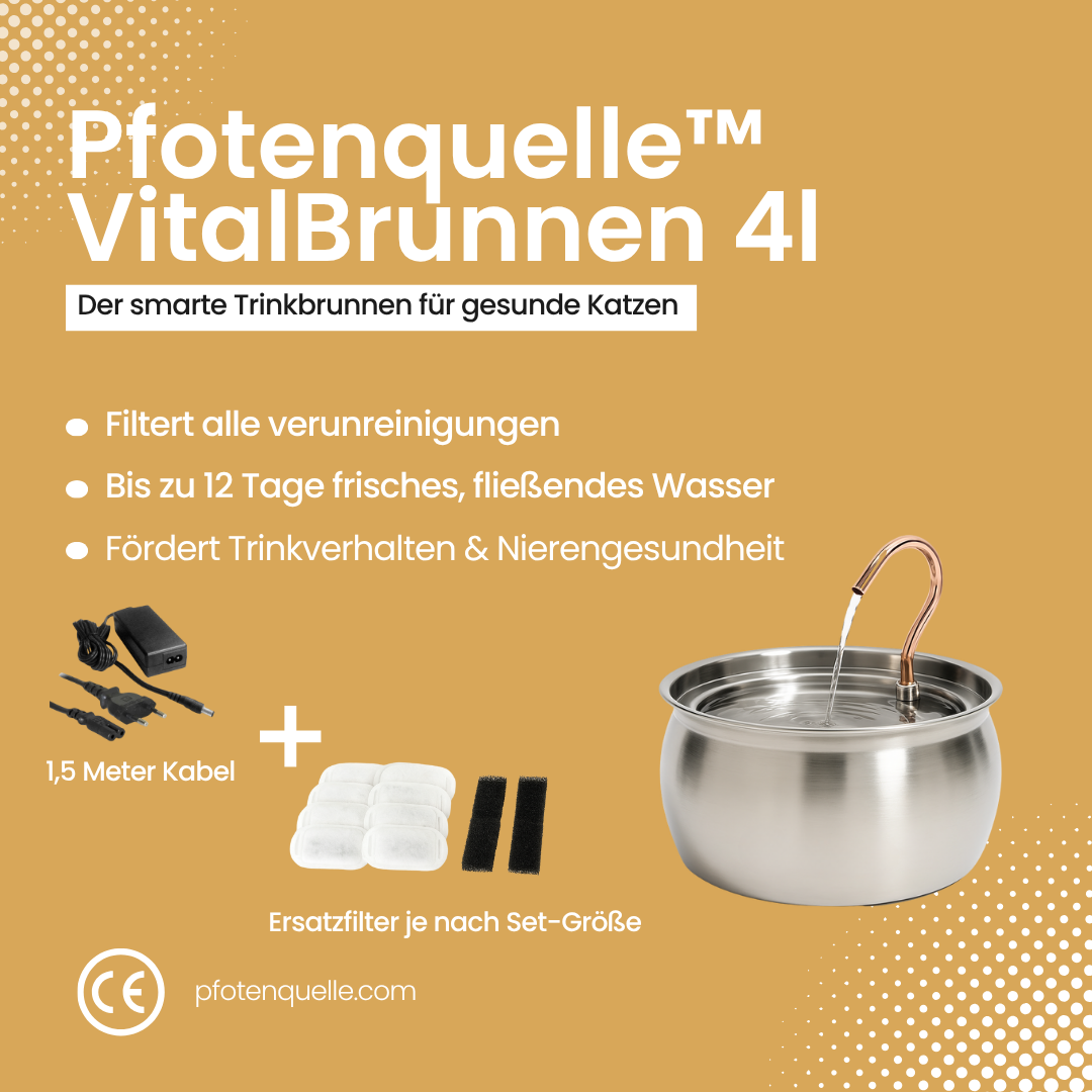 Pfotenquelle™ VitalBrunnen 4L v2
