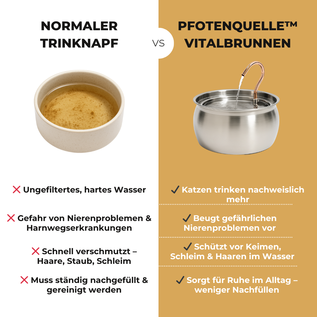 Pfotenquelle™ VitalBrunnen 4L v2