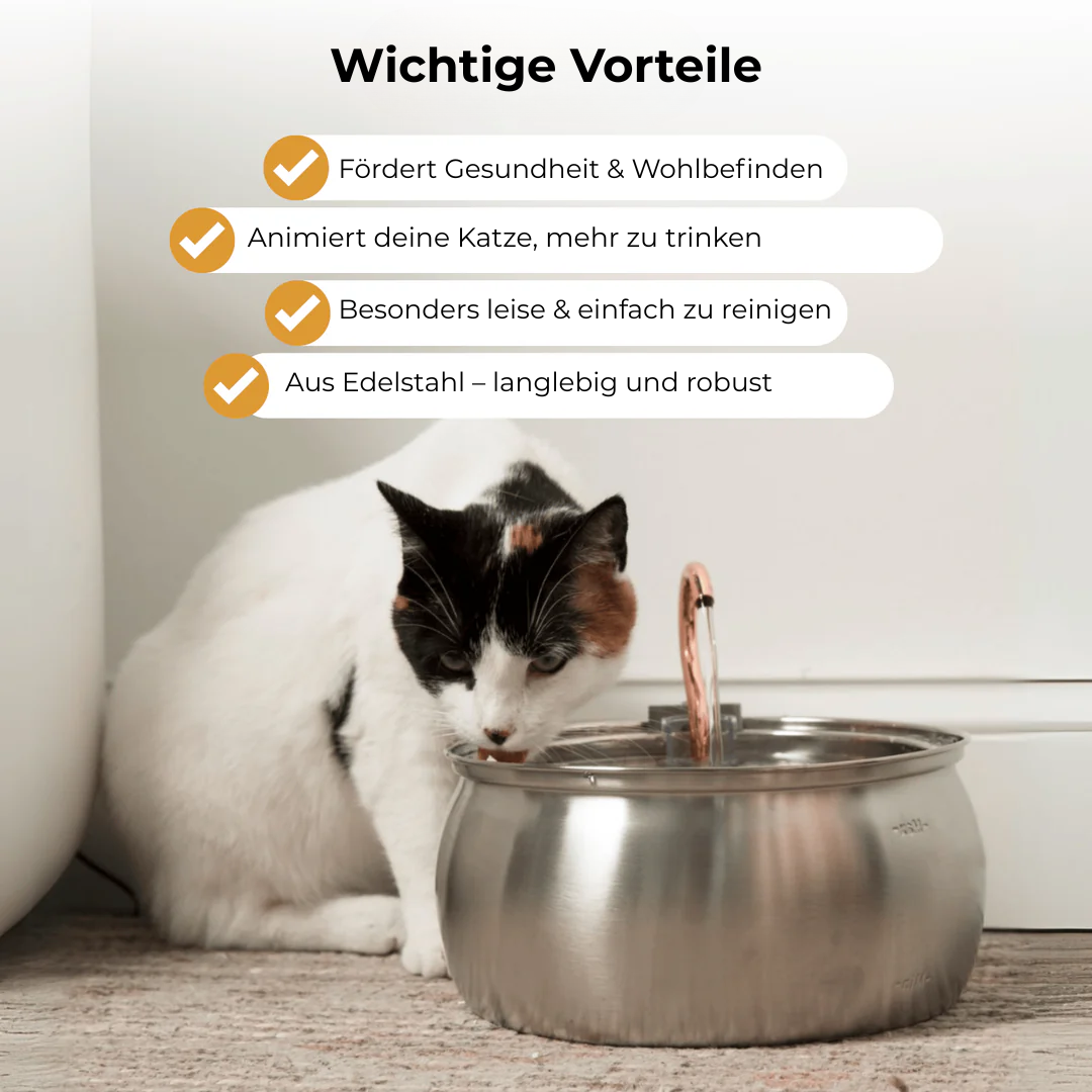 Pfotenquelle™ VitalBrunnen 4L v2