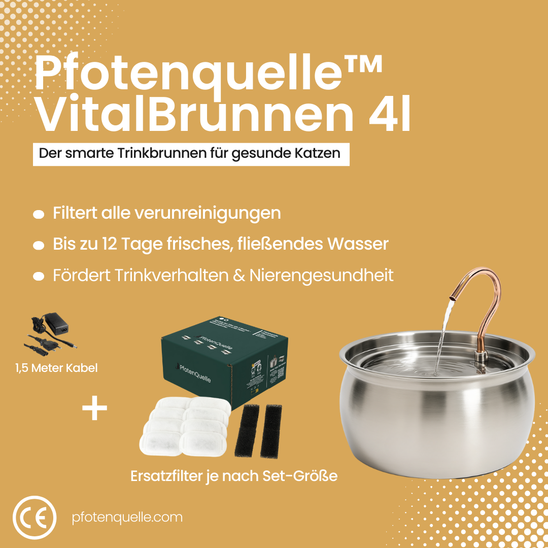 Die Pfotenquelle™ 4L