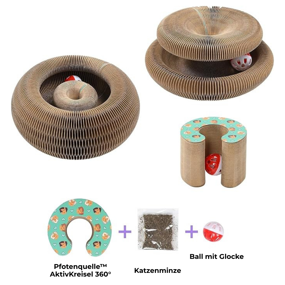 Pfotenquelle KratzKreisel