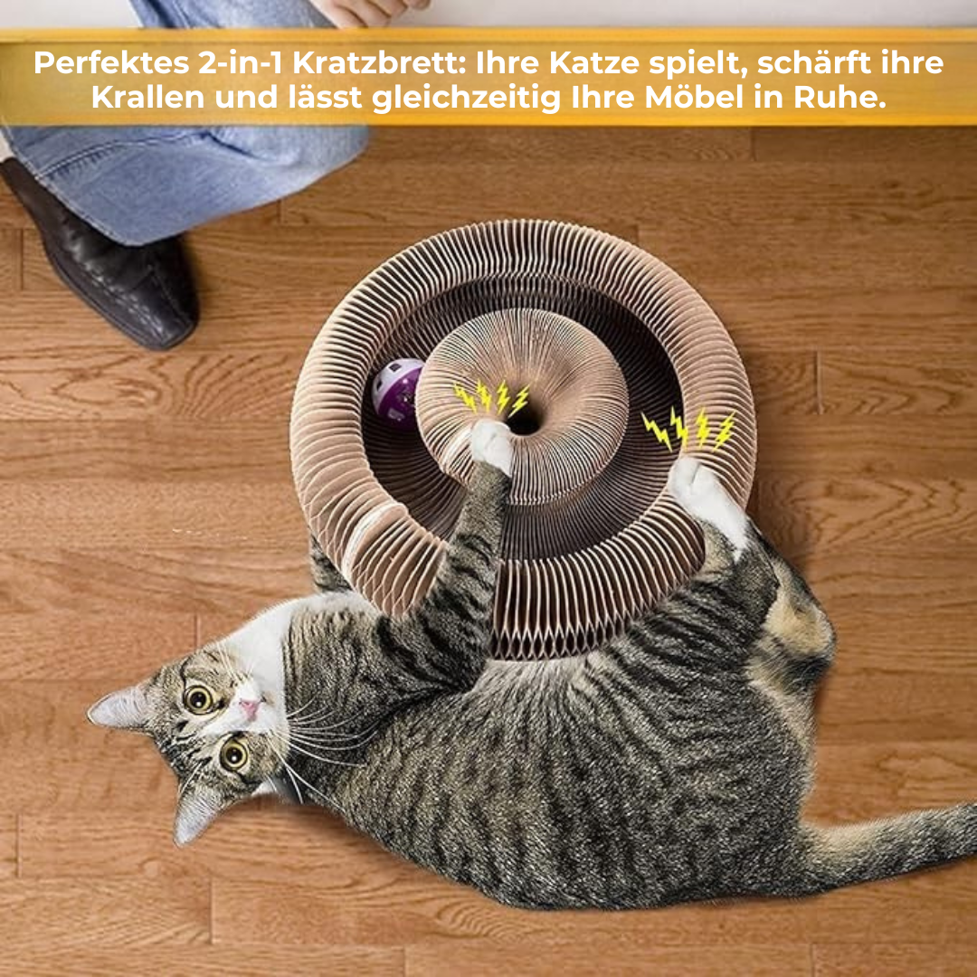 Pfotenquelle KratzKreisel