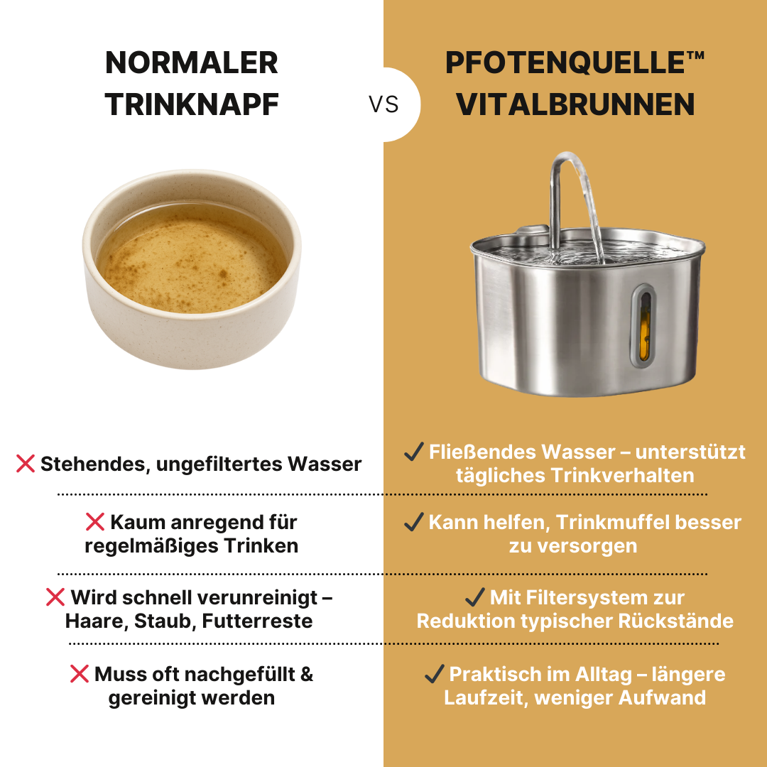 Die Pfotenquelle™ Compact 2,2L