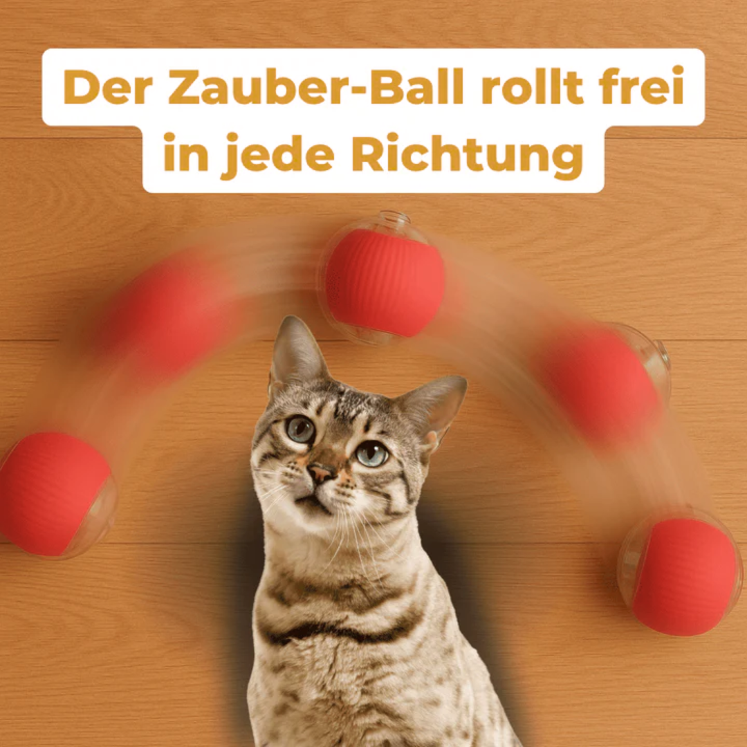 Pfotenquelle Action Ball
