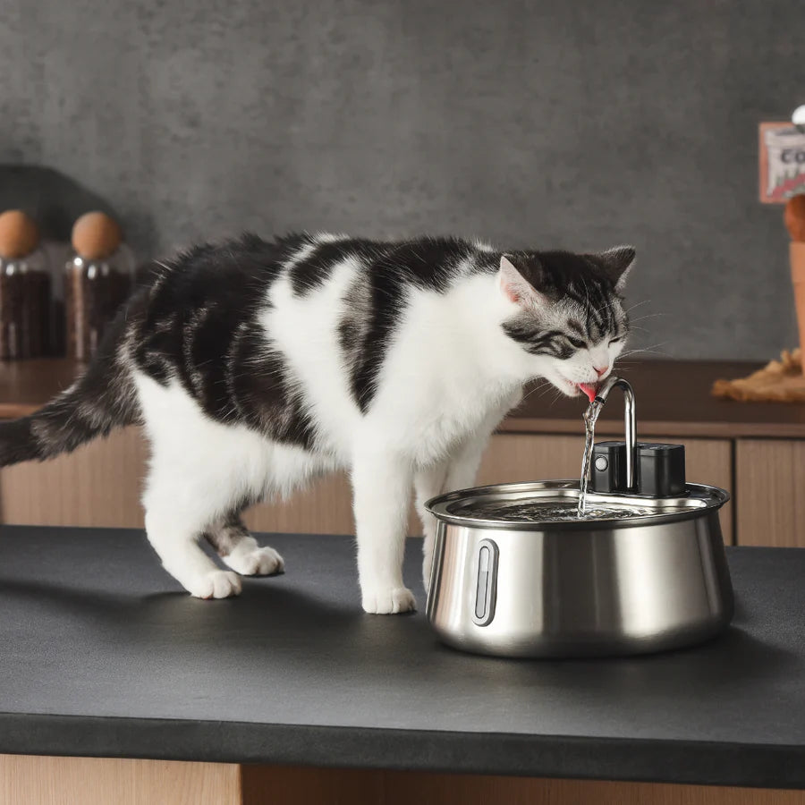 Die Pfotenquelle™ 4L Wireless 2.0