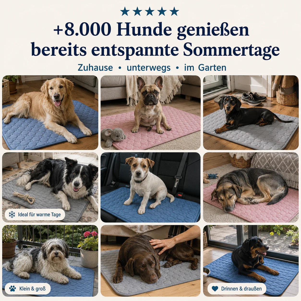 Pfotenquelle™ Kühlmatte für Hunde 2-für-1